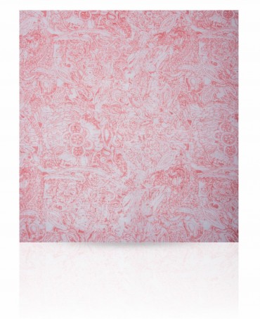 Палантин Женский ZW-INK.SKETCH/CORAL